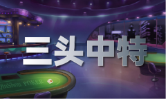 246+天天免费材料大全+正版